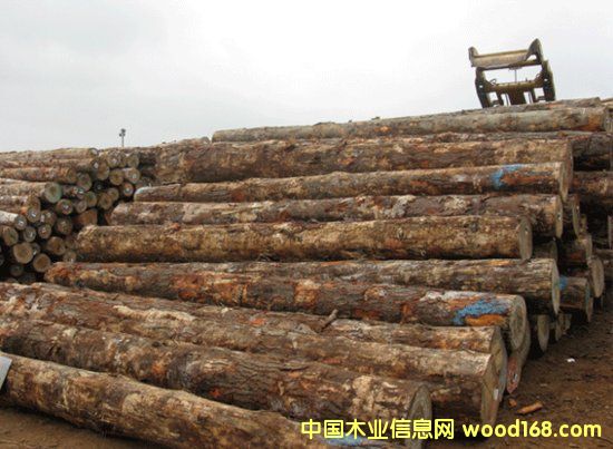 ݗ���ɵ�Ԕ����B