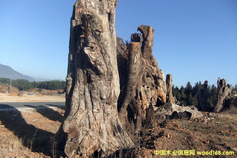 �ľ��Ԕ��(x��)��B