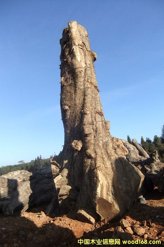 �ľ��Ԕ��(x��)��B