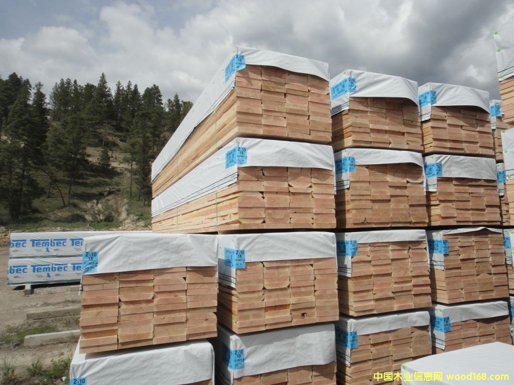 spf的詳細(xì)介紹