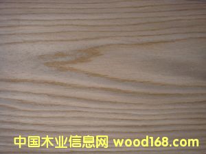 E.V����-406c��Ԕ��(x��)��B