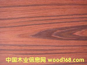 E.V������֦-810c