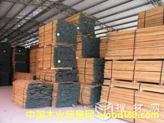 白橡的詳細(xì)介紹