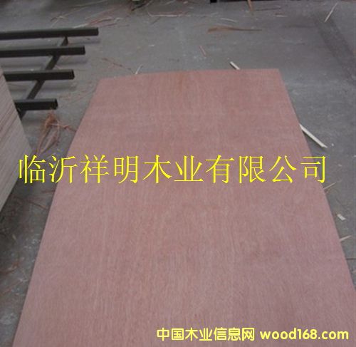 [��] �z�ϰ�15����b���бP(p��n)��