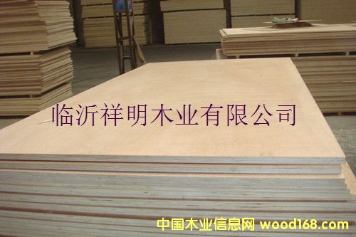 [��] �z�ϰ�12����b���бP��Ҿ߰�