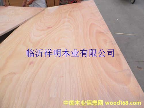 [��] �z�ϰ�12����b���бP��Ҿ߰�