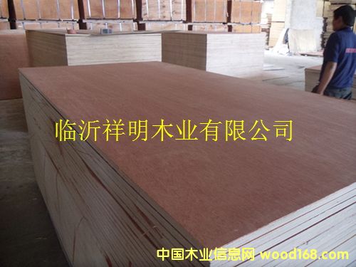 [��] �z�ϰ�15����b���бP(p��n)��