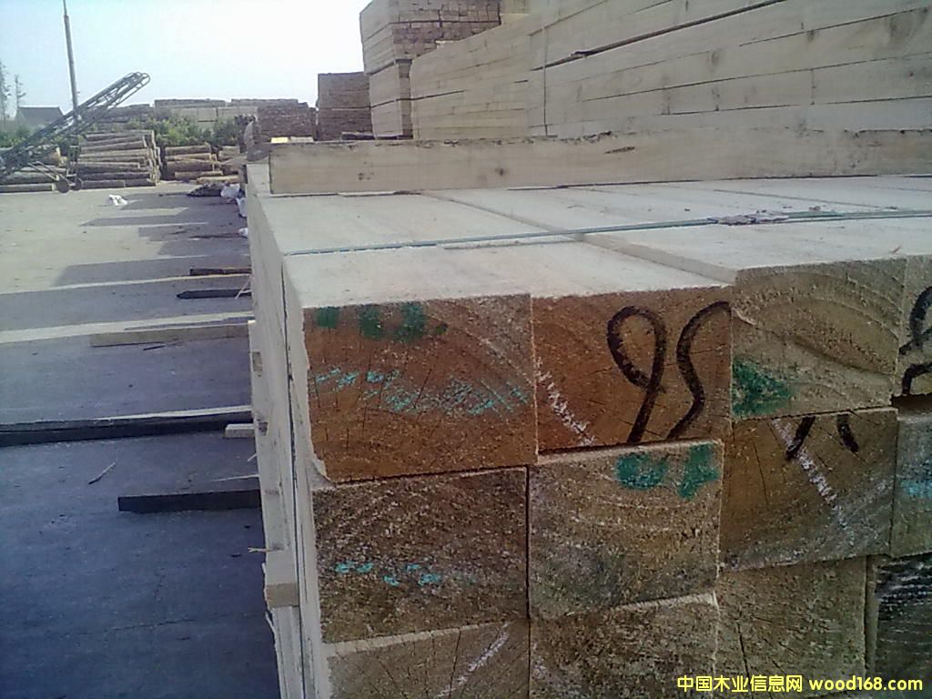 ݗ����ľ��