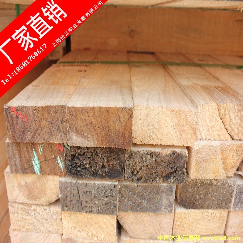 鐵杉的詳細(xì)介紹