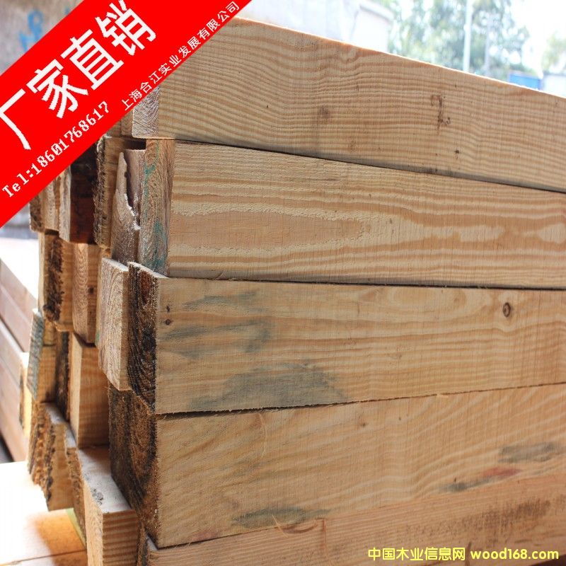 輻射松的詳細(xì)介紹