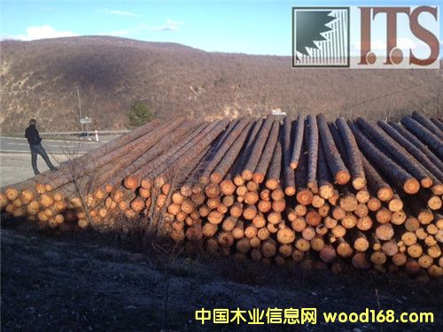 ������ԭľ��Ԕ��(x��)��B