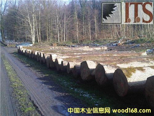 ˮ����ԭľ��Ԕ��(x��)��B