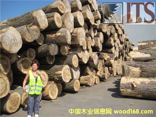 �W���M�ڗ�ľԭľ