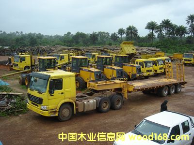 ����ԭľ �ш����I(y��)��Ԕ����B