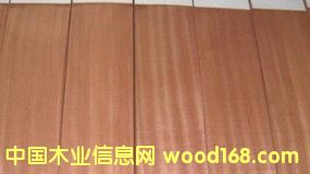 ɳ������Ԕ����B