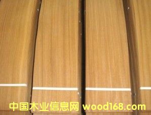 ��ľ����Ԕ����B