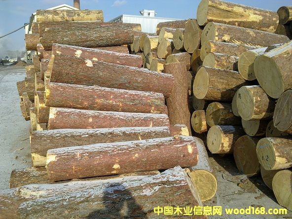 ������1�����ҵ�Ԕ����B