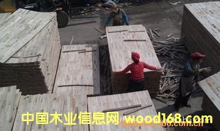 ��(x��)ľ����о��Ԕ��(x��)��B