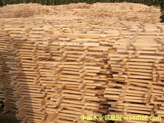 ��(x��)ľ����о��Ԕ��(x��)��B