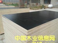 3*6��1��*2�׽�����Ĥ���Ԕ��(x��)��B