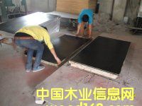 �ȼ��Ƹ�Ĥ��