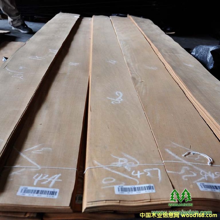 �������Ԕ��(x��)��B