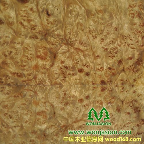 ����(d��ng)�Ș�(sh��)���Ԕ��(x��)��B