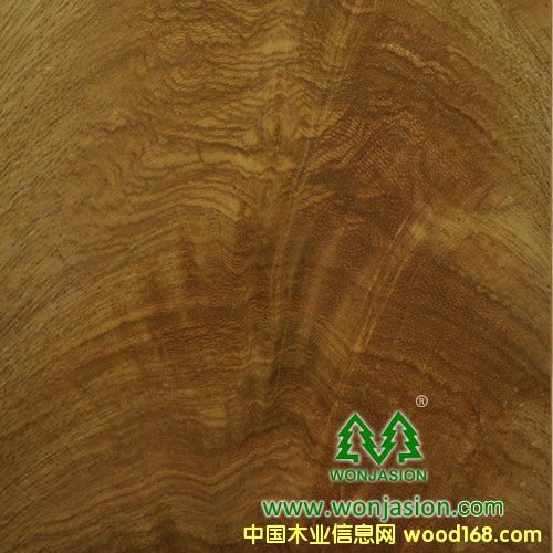 ����Ԕ��(x��)��B