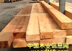 �tѩ�ɵ�Ԕ����B