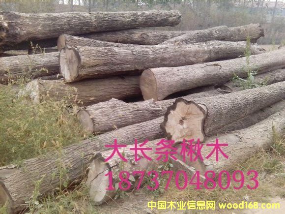 �ľԭľ��Ԕ����B