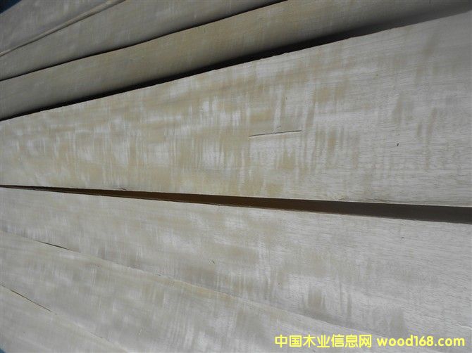 金影的詳細(xì)介紹