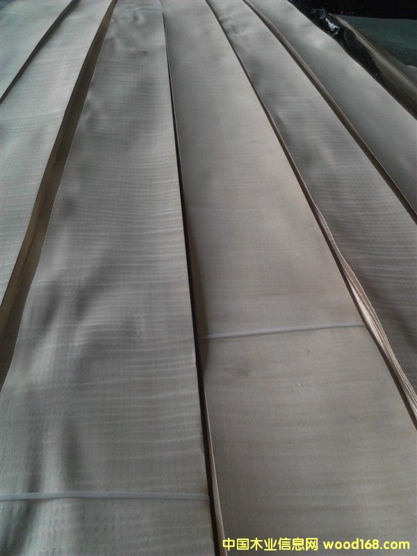 白影的詳細(xì)介紹