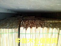 �ח�ľ��ĵ�Ԕ��(x��)��B