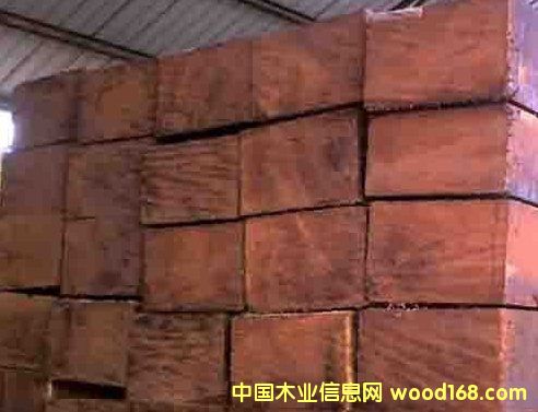 菠蘿格的詳細(xì)介紹