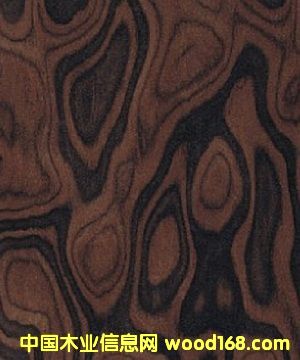 ���Ҙ�(sh��)��  �ߙn�Ҿ�ľƤ��Ԕ��(x��)��B