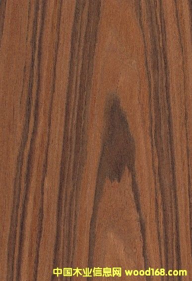 酸枝的詳細(xì)介紹