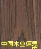 �S��ľƤֱ�N(xi��o)��Ԕ��(x��)��B