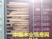 ��ρľ|��̴|�������ľ|�\�~�Kľ|�S��|�����M(j��n)�����P(gu��n)