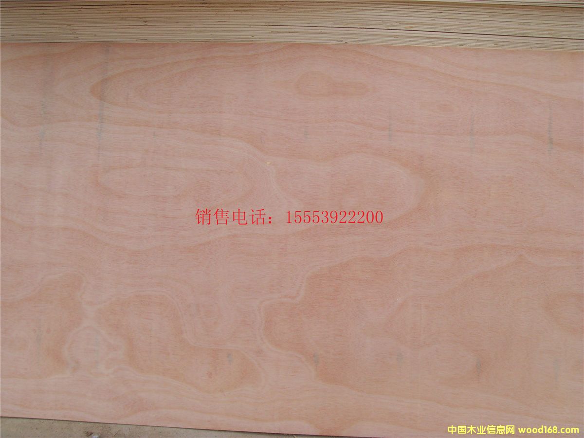 [��] �R�ʰ��b��S�� ֱ�N���N��ȵ� ���Ӱ��b�� 