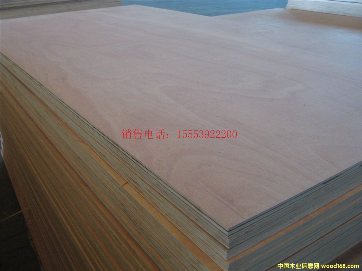 [��] ����(y��ng)���NҎ(gu��)�񼰮��θ��Nһ�γ��Ͷ��γ��Ͱ��b��