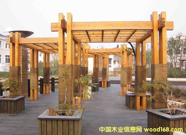 樟子松的詳細介紹