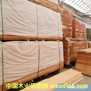 �һ�о�ΰ��Ԕ����B