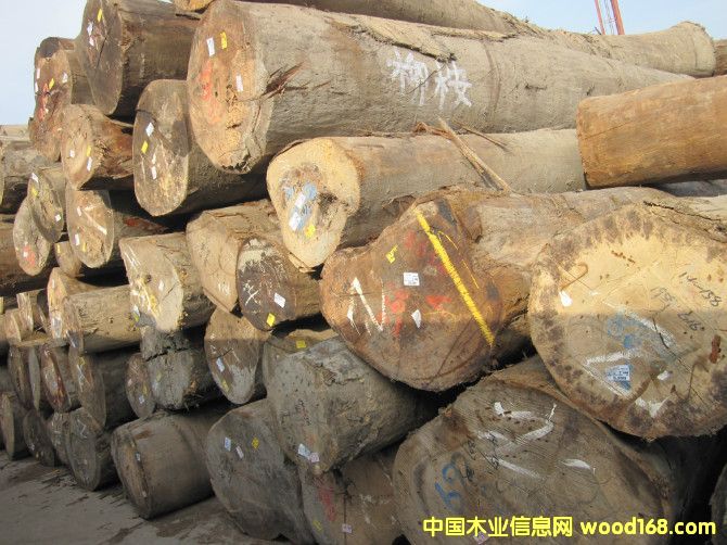 �����Ԕ��(x��)��B