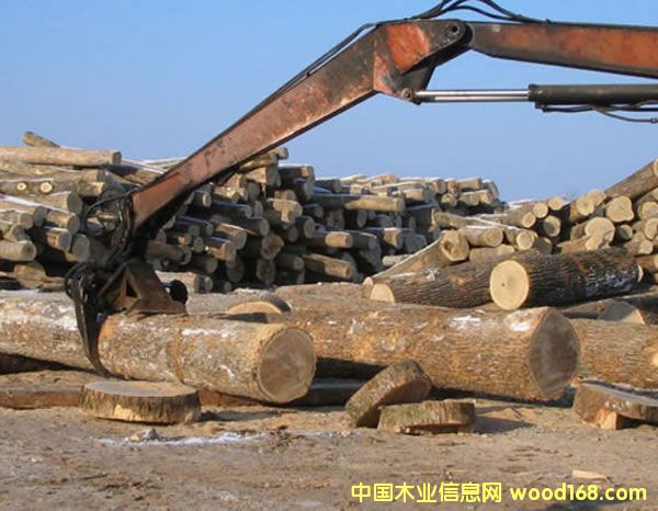 ���_˹�֘I(y��)�֬F(xi��n)��(ch��ng)���x ��Ԕ��(x��)��B