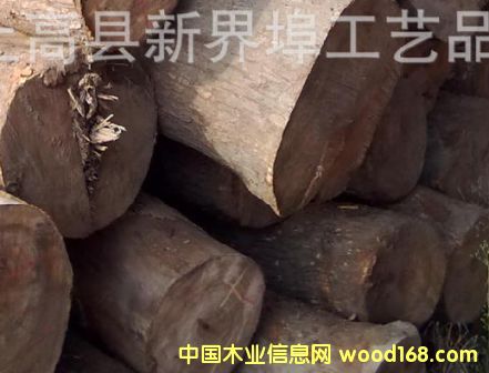 ��(y��u)�|����