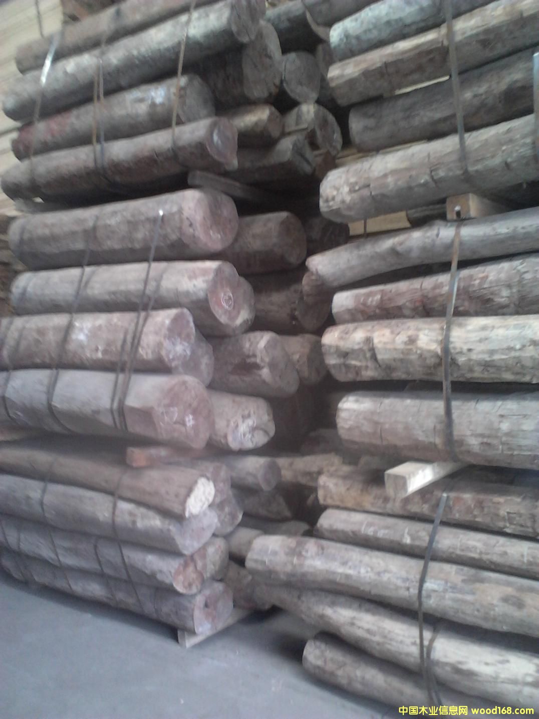 �Ჴ����̴��Ԕ����B