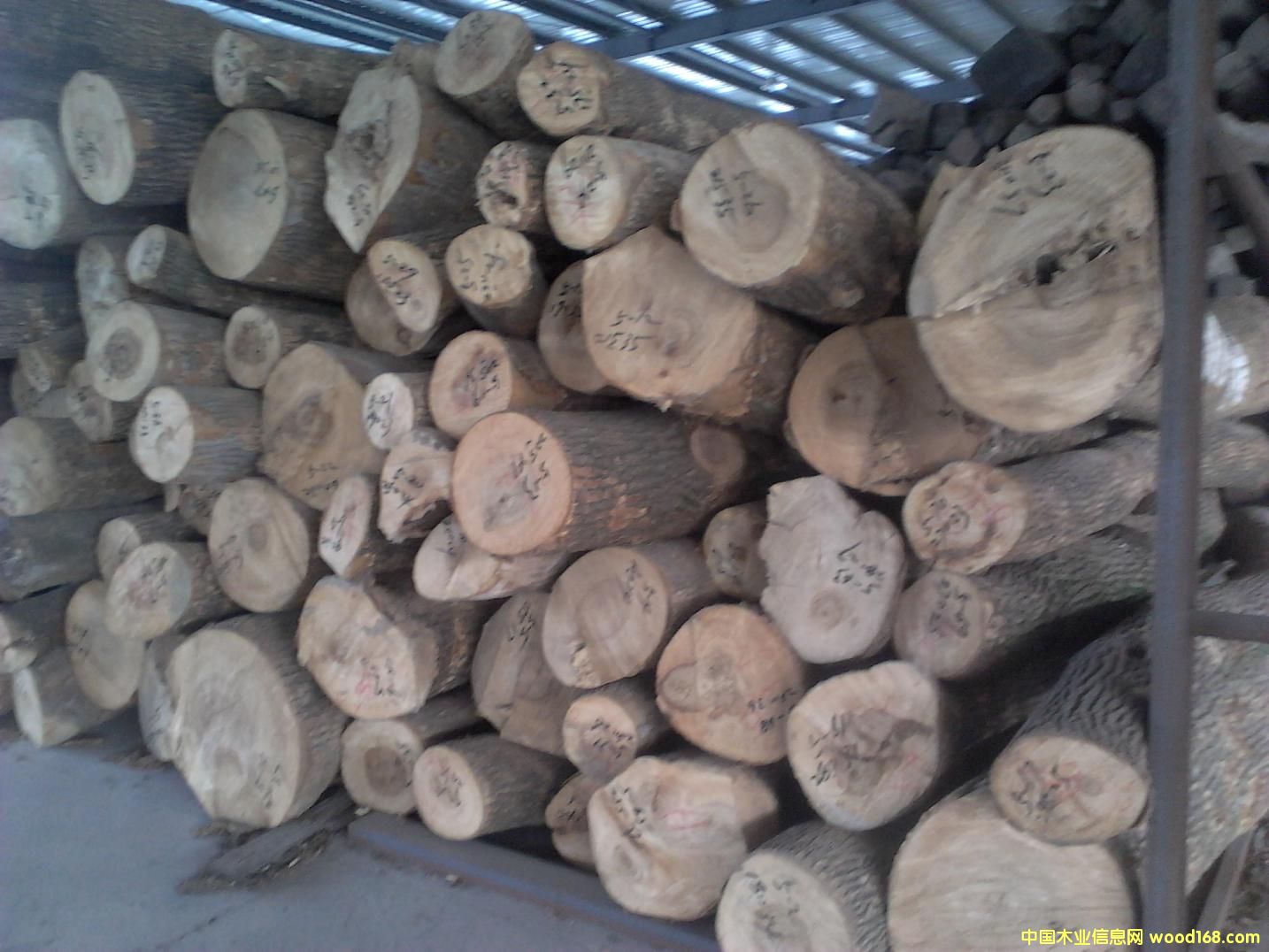 ����ľ��Ԕ����B