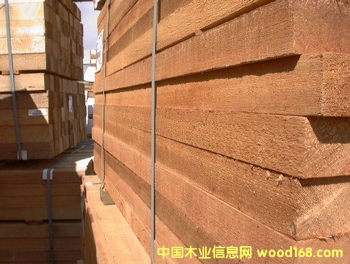 �tѩ�ɟo(w��)��(ji��)�ĵ�Ԕ��(x��)��B