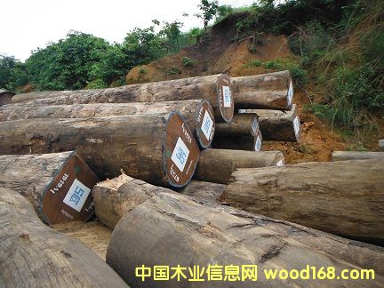 ������ľ��