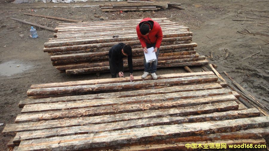 ��ԭľ��Ԕ����B